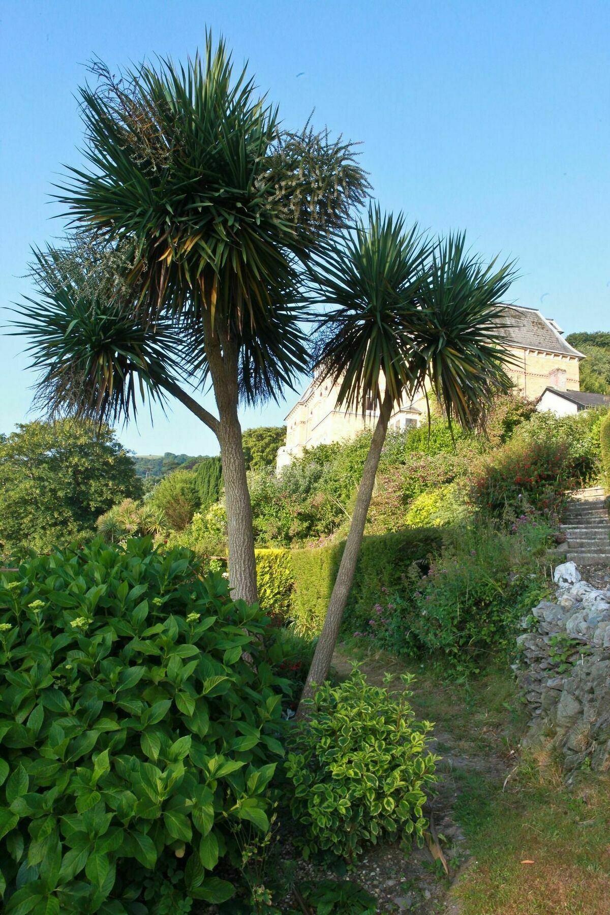 Hotel Epchris House Ilfracombe Exteriér fotografie