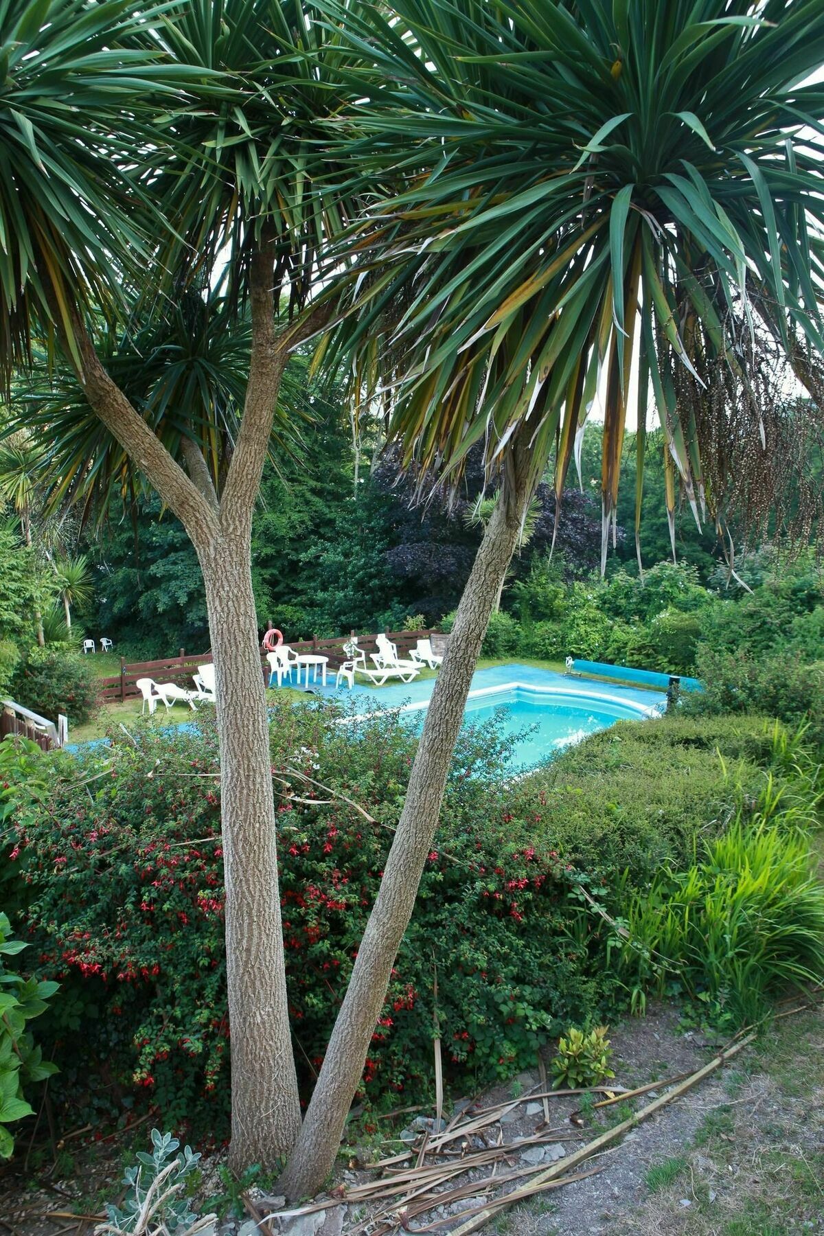 Hotel Epchris House Ilfracombe Exteriér fotografie